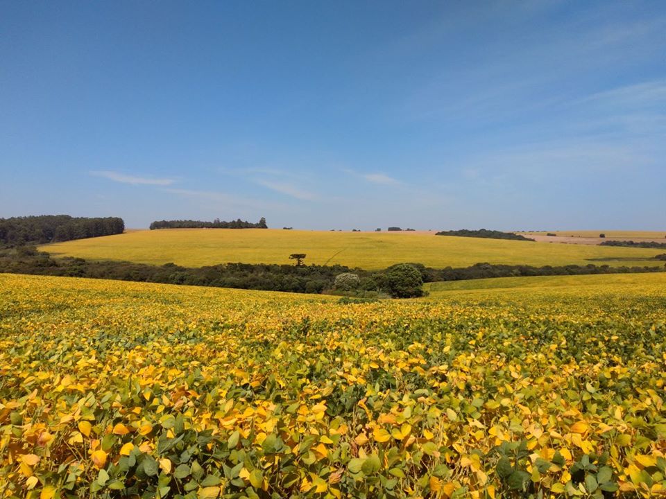 With the aim to address this crucial issue, FertiGlobal has developed the worldwide patented biostimulant technology EnNuVi