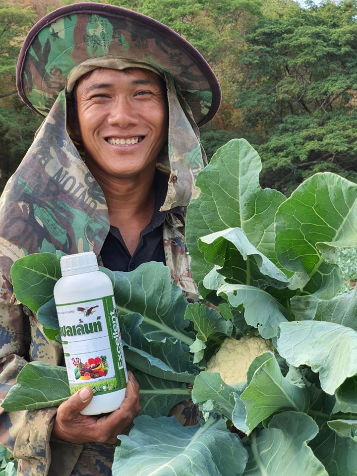reaction of Thai local farmer who tried FertiGlobal’s advanced crop nutrition technologies